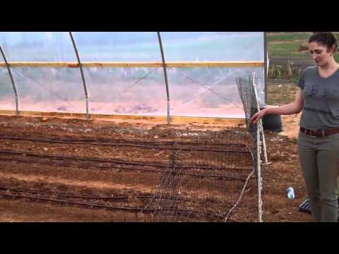 First dayhoop house Feb24 130pm