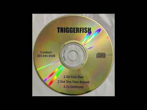 Triggerfish - Not This Time Around