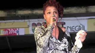 Michie Mee: '(Jay Z Freestyle) Dear Hip Hop Between Mee & U, Negril, Jamaica 2014
