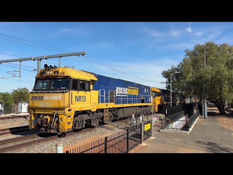 NR13 + NR114 + NR59 #6MP5