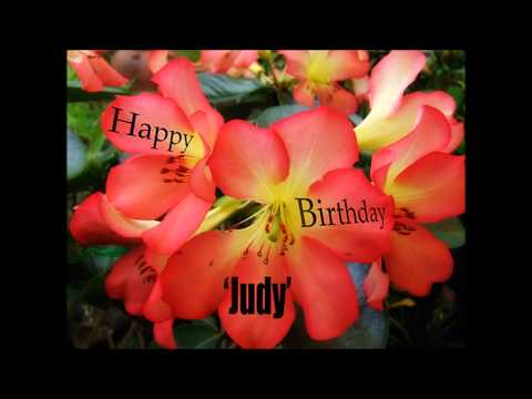 Happy Birthday Judy