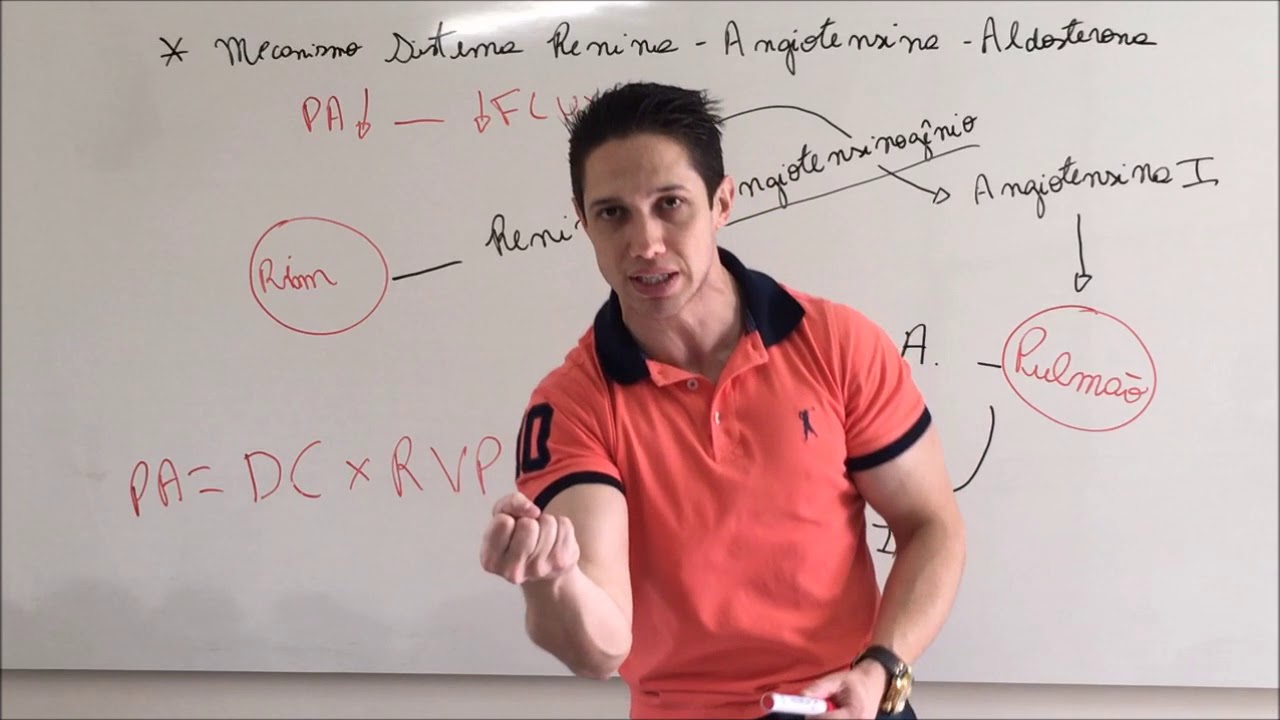 Controle da Pressão Arterial - Sistema Renina Angiotensina Aldosterona