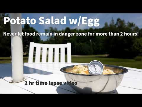 Potato Salad Food Safety