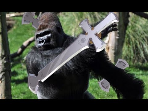 Leo players never stop