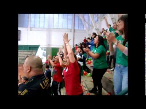 Palmeiras X Portuguesa