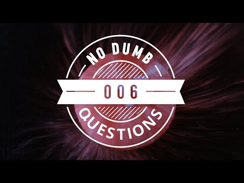 No Dumb Questions 006 - What is The Grabbler?