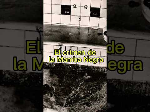 El crimen PERFECTO que nadie pudo resolver: Las Primas de Vicente López