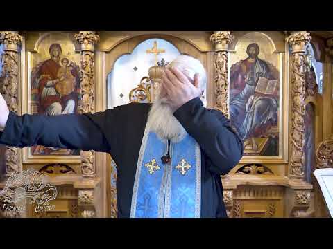 Sunday of the Publican and the Pharisee - 01.02.2026