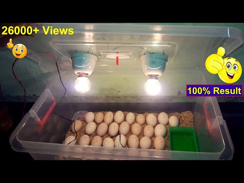 , title : 'BEST Homemade Incubator for Chicken Eggs | Hatching Eggs 100% Efficient Results'