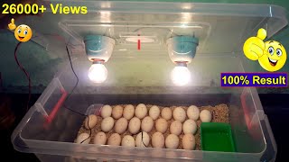 100% BEST HOMEMADE INCUBATOR FOR CHICKEN EGGS | HATCHING EGGS | DIY EGG INCUBATOR | YOU CAN DO THIS