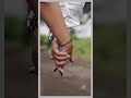 Mindathe Thammil Thammil