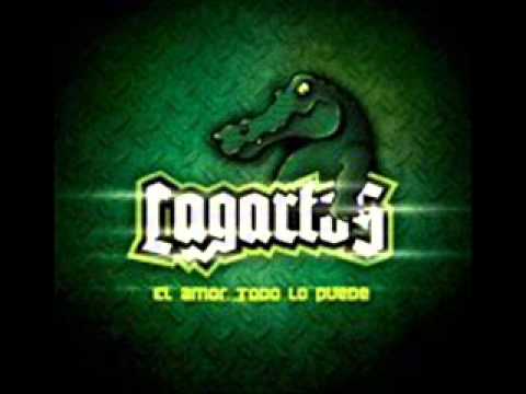 Que Bueno Verte - Lagartos