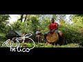 LiNDiGo - Yinm Aou (Clip officiel)