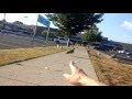 Seagulls Of Walmart Special Moment Connecticut