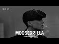 MOOSEDRILLA SIDHU MOOSE WALA SLOWED REVERB ROHANLOFI