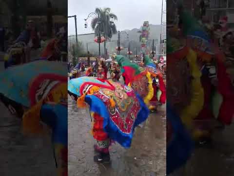 Baile de Venado en Senahú Alta Verapaz, contrabanza 🦌🦌🦌