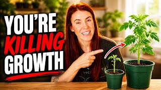 Why Your Seedlings Grow So Slowly!! BUT Should Be FAST. 💨
