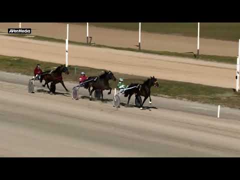 Prova di qualifica 4 anni ed oltre - martedì 21 febbraio 2023