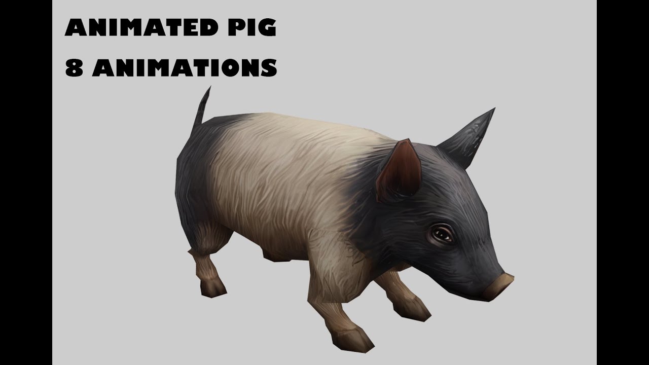 Animated pig 3D Model