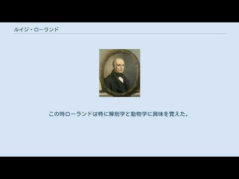 サッサリ大学 - 定義