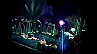 Phish - Fluffhead / Antelope - 12/29/93 - New Haven, CT