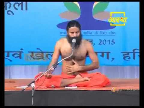 Training for International Yoga Day | Panchkula, Haryana | 15 June 2015 (Part 2)