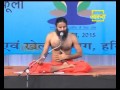 Training For International Yoga Day Panchkula Haryana 15 June 2015 Part 2