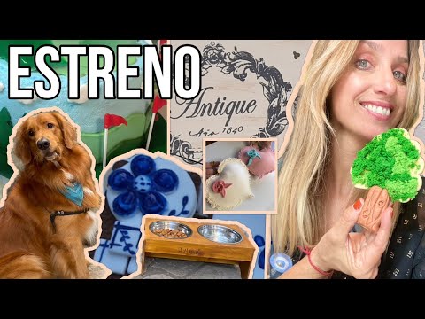 Manos a la Obra 2023  programa 17  Tortas Pintura en Aerosol  Laminas Folex  Cookies  Porcelana Fria