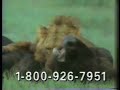 Time Life Trials Of Life Video Ad 1999