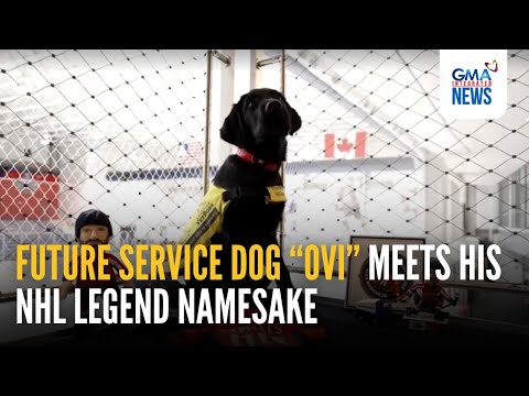 Future service dog “Ovi” meets his NHL legend namesake | GMA Integrated News