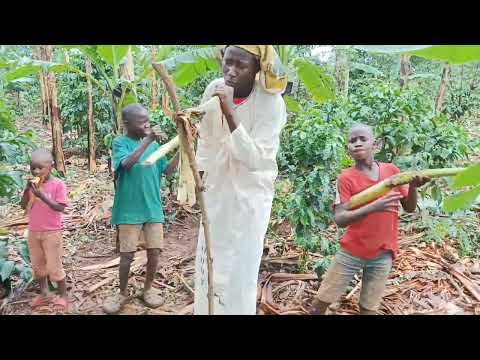 Seen Don_ Lusuku Lwa Seminti_ Ronald Alimpa | Rural Kids Africana