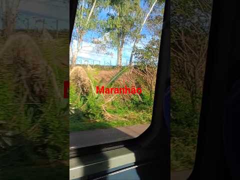 12 de fevereiro de 2026. passagem Franca,e  lagoa do mato, Maranhão.