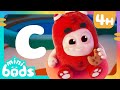 C Is For Cookie Minibods Preschool Cartoons For Toddlers