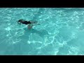 Girl Diving Into Pool Stock Video