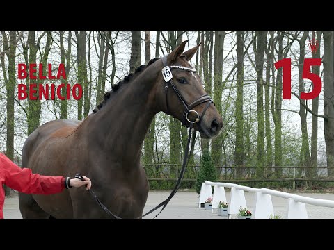 15 Bella Benicio