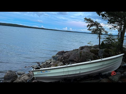 Nature ASMR - Sounds of the Baltic Sea - deep sleep, sleep better, relax, meditate, waves & birds.
