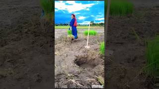 Download lagu Yun Hi Kat Jaayega Safar Saath Chalein Se_Hum Hain Rahi Pyar Ke #aamirkhan #juhichawla #shorts mp3