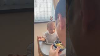 😂パパが食べてる！？🫐🌍📝#赤ちゃんリアクション #育児あるある #笑える瞬間 #長持ちパパ #源ちゃん #赤ちゃん #赤ちゃんのいる生活 #cutebaby #babydiet