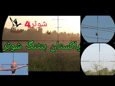 #4shooter Dove hunting PCP Air Guns.2020