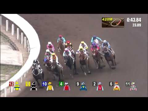 16/4/2022 (593) Campione - Matthew Poon