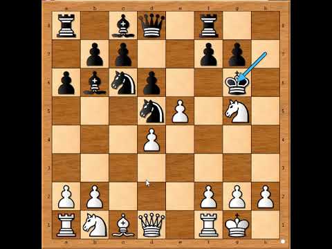 Šahovska idila se pretvorila u pravi košmar 🤣💣🧨💥💣😎 UEDEMANN vs WILCOX # 2425