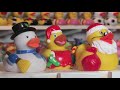Ducks In The Window Shop Video