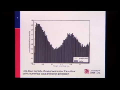 International Conference in Number Theory and Physics - Nina Snaith