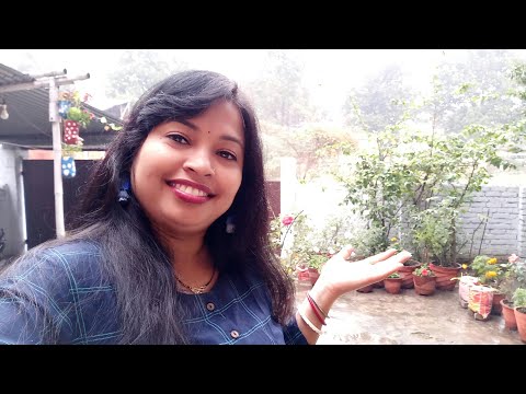 My garden overview || garden tour || Indian youtuber monidipa