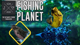 🎮 Bonus Game: Fishing Planet - Sander Baggersee Monster - Black Whisker (Bagre Preto)