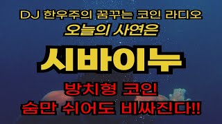 📻[시바이누] 숨만 쉬겠습니다. 어차피 상승은 예정된 일!! #시바이누 #시바이누전망 #시바이누호재