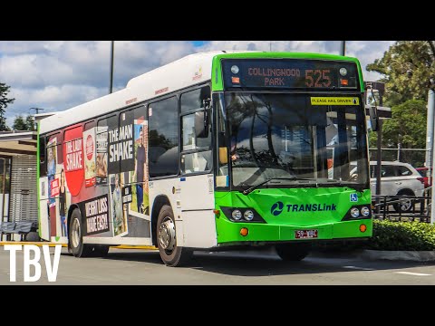 SEQ, AU: 525 LP: Redbank Train Station to Collingwood Park Loop