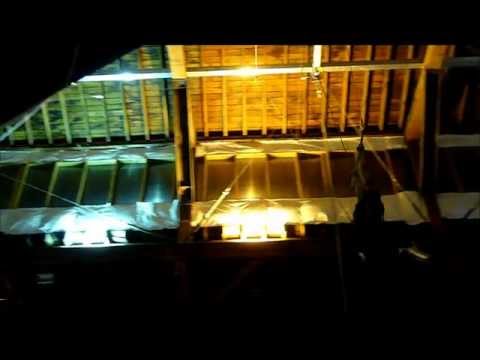 My Trapeze Movie.wmv