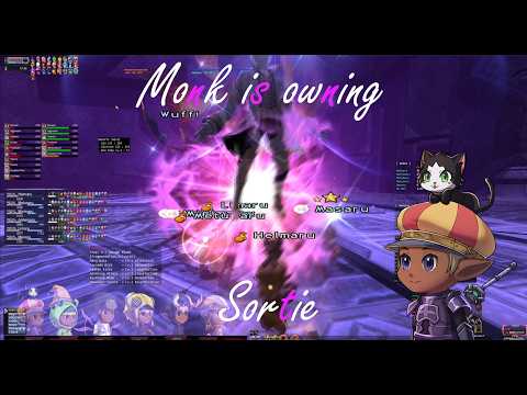 Multiboxing FFXI - Monk is owning Sortie!