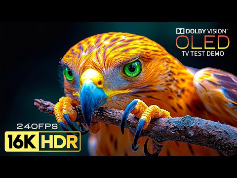 Incredible Earth in 16K Video ULTRA HD | 16K HDR 240 FPS Dolby Vision